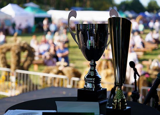 Grafika 130: XXV Dożynki Powiatowe w Lubowidzu – tradycja, rodzina, wspólnota