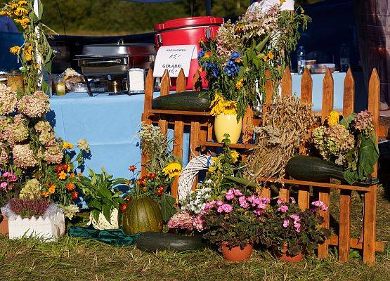 Grafika 147: XXV Dożynki Powiatowe w Lubowidzu – tradycja, rodzina, wspólnota