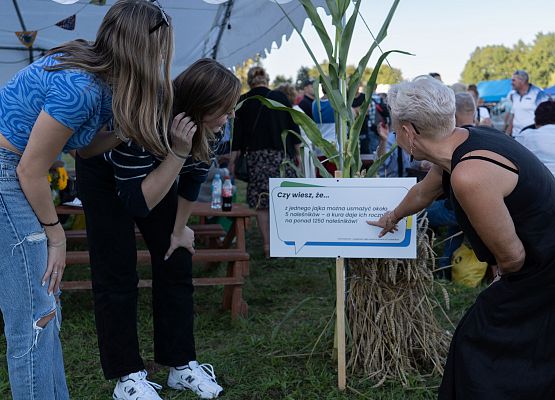 Grafika 176: XXV Dożynki Powiatowe w Lubowidzu – tradycja, rodzina, wspólnota