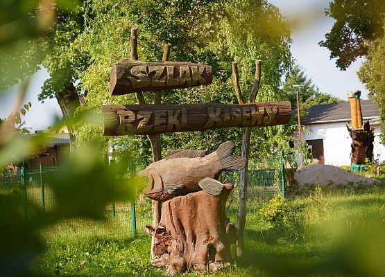 Quest - inauguracja - zdjęcie