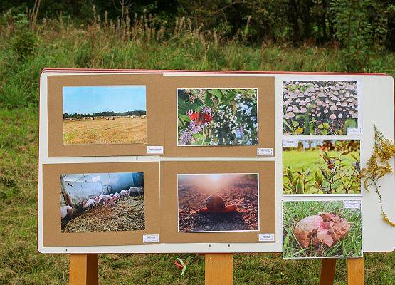 Grafika 3: Festiwal Sztuki Cyfrowej Digital Art – „Jestem ze Wsi”