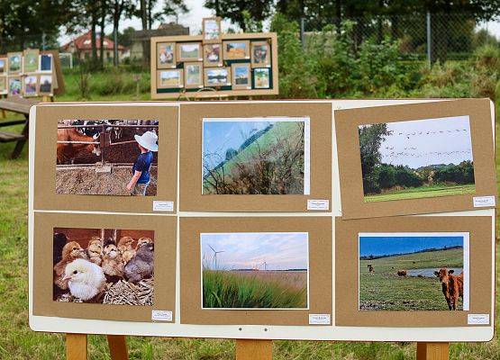 Grafika 4: Festiwal Sztuki Cyfrowej Digital Art – „Jestem ze Wsi”
