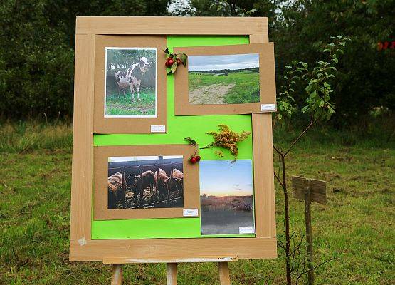 Grafika 5: Festiwal Sztuki Cyfrowej Digital Art – „Jestem ze Wsi”