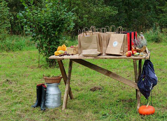 Grafika 6: Festiwal Sztuki Cyfrowej Digital Art – „Jestem ze Wsi”