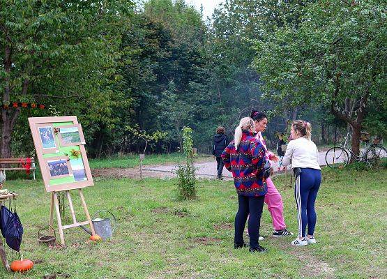 Grafika 7: Festiwal Sztuki Cyfrowej Digital Art – „Jestem ze Wsi”