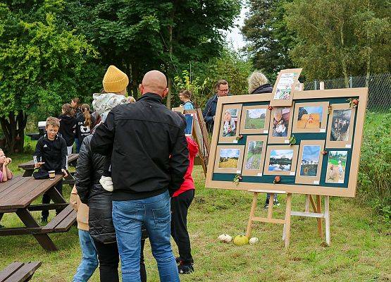 Grafika 11: Festiwal Sztuki Cyfrowej Digital Art – „Jestem ze Wsi”