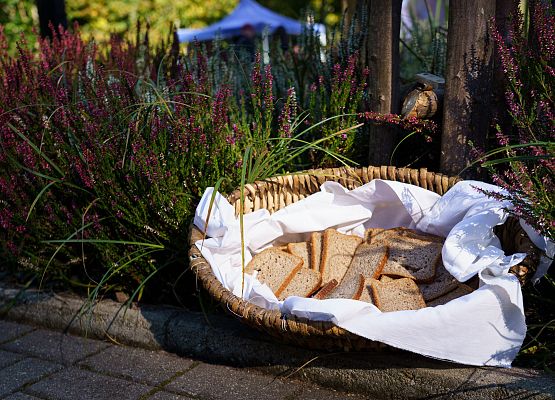 Grafika 7: Hołd dla Ofiar Marszu Śmierci w atmosferze zadumy (foto+wideo)