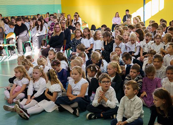 Grafika 9: Dzień Edukacji Narodowej w szkołach i przedszkolach