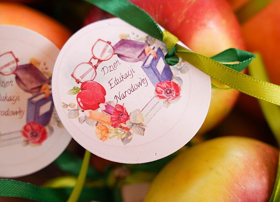 Grafika 142: Dzień Edukacji Narodowej w szkołach i przedszkolach