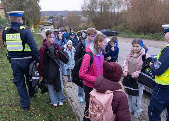 Grafika 11: Akcja edukacyjna „Bezpieczny uczeń w drodze do szkoły”