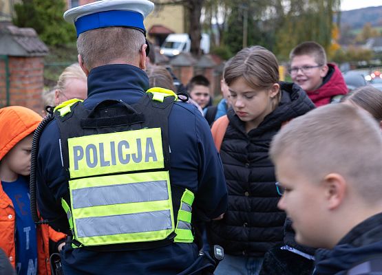 Grafika 19: Akcja edukacyjna „Bezpieczny uczeń w drodze do szkoły”