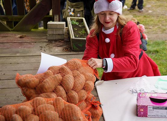 Grafika 146: XIII Mikołajkowe Nordic Walking w Obliwicach za nami
