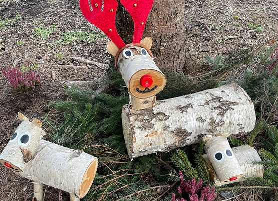 Grafika 13: Mikołajkowe szaleństwo w Gminie Nowa Wieś Lęborska