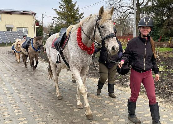Grafika 20: Mikołajkowe szaleństwo w Gminie Nowa Wieś Lęborska