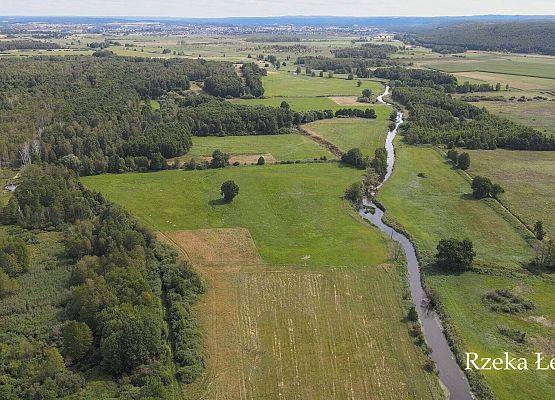 Grafika 3: WOŚP: spływ canoe rzeką Łebą z Wójtem Gminy