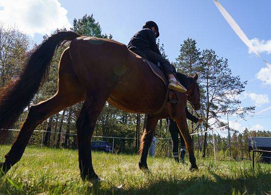 Grafika 61: III Rodzinny Bieg Leśnika za nami – sportowe emocje w duchu „Stop Przemocy”