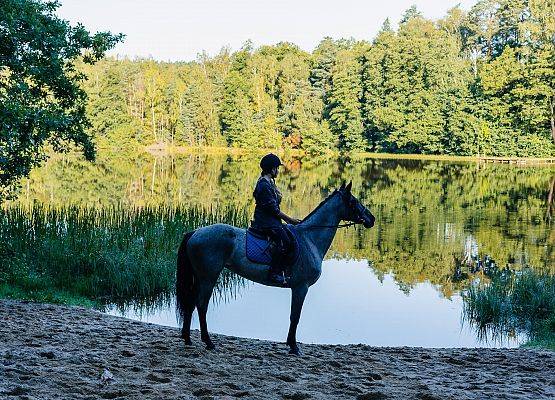 Jeździec na koniu stoi nad jeziorem w lesie.