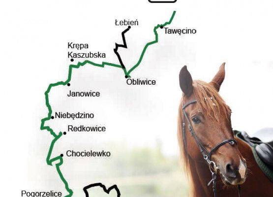 Grafika obrazująca całą trasę szlaku konnego przebiegającą  przez gminę Nowa Wieś Lęborska.