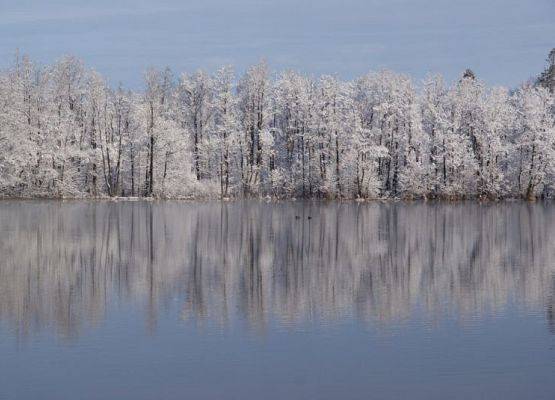 Jezioro w Redkowicach zimą