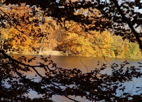 Jezioro w Redkowicach jesienią