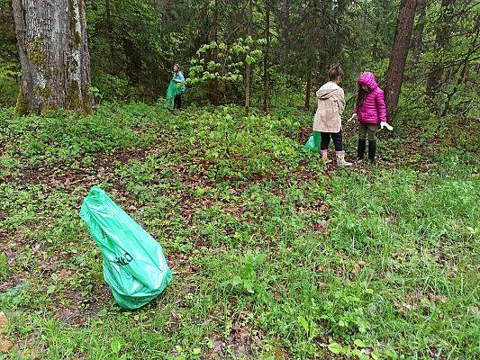 Dziewczynki zbierające do worków śmieci w lesie.