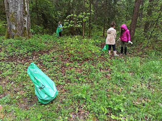 Dziewczynki zbierające do worków śmieci w lesie.