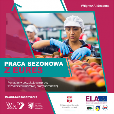 Element dekoracyjny. grafika