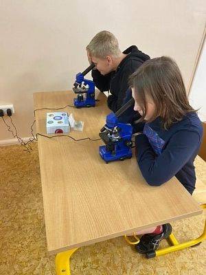 Uczennica i uczeń w szkolnej ławce oglądają próbki pod mikroskopem.