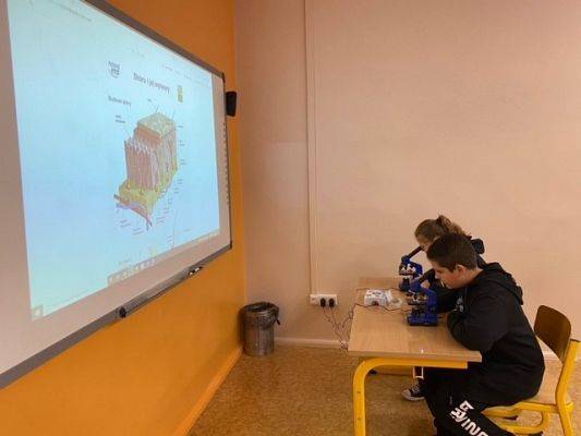 Uczennica i uczeń w szkolnej ławce oglądają próbki pod mikroskopem.