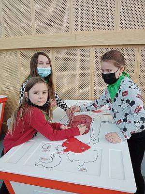 Trzy dziewczynki z klasy 2 dopasowują elementy układu pokarmowego w Centrum Nauki Eksperyment w Gdyni.