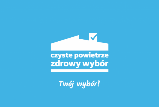 Element dekoracyjny. Logo Programu "Czyste Powietrze". grafika