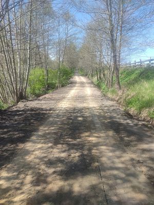 Część drogi z ułożonymi dwoma pasami z płyt typu Yomb. grafika