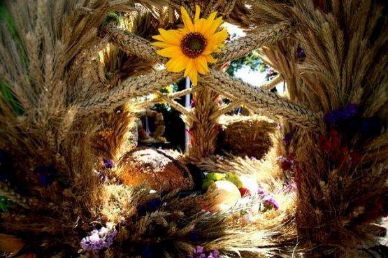Wnętrze wieńca dożynkowego wypełnione kłosami zbóż, kwiatów, owoców i bochenkiem chleba. grafika