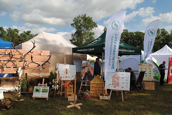 Grafika 16: Dożynkowe dziękczynienie w Krępie Kaszubskiej