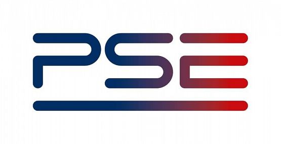 Logo Polskich Sieci Elektroenergetycznych.
