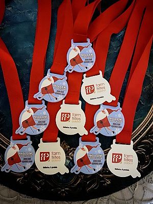 Przypominamy: XIII Mikołajkowe Nordic Walking w Obliwicach grafika