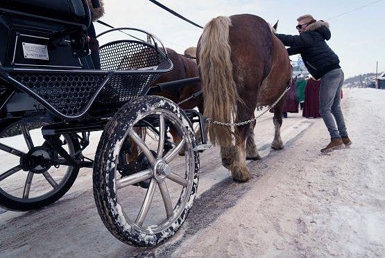 Grafika 53: Orszak Trzech Króli przeszedł ulicami Lubowidza i Mostów