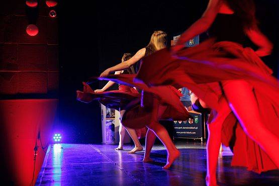 Grafika 4: Sukcesy sportowców z gminy docenione na XIX Gali Sportu Powiatu Lęborskiego