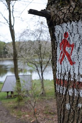 Grafika 6: Nowowiejski Park Nordic Walking zaprasza na szlaki