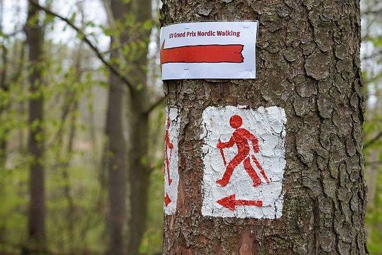 Grafika 2: Nowowiejski Park Nordic Walking zaprasza na szlaki