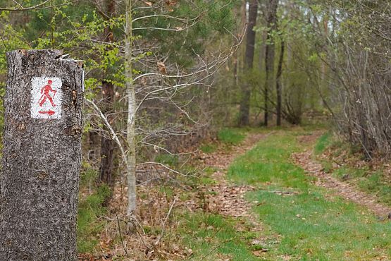 Grafika 3: Nowowiejski Park Nordic Walking zaprasza na szlaki
