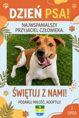 Grafika 1: Ogólnopolski Dzień Psa - pamiętajmy o naszych czworonogach!